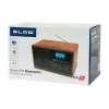 Tragbares analoges AM/FM-Radio BLOW RA9 V.2 — AM- und FM-Empfang, batteriebetrieben, analoge Abstimmung