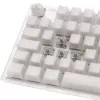 Mechanische Gaming-Tastatur Ducky One 3 Aura TKL RGB LED mit Cherry MX Speed Silver Switches