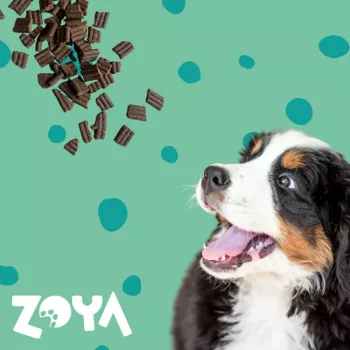 ZOYA ColdPRO Hirsch - Trockenfutter für Hunde - 1 kg