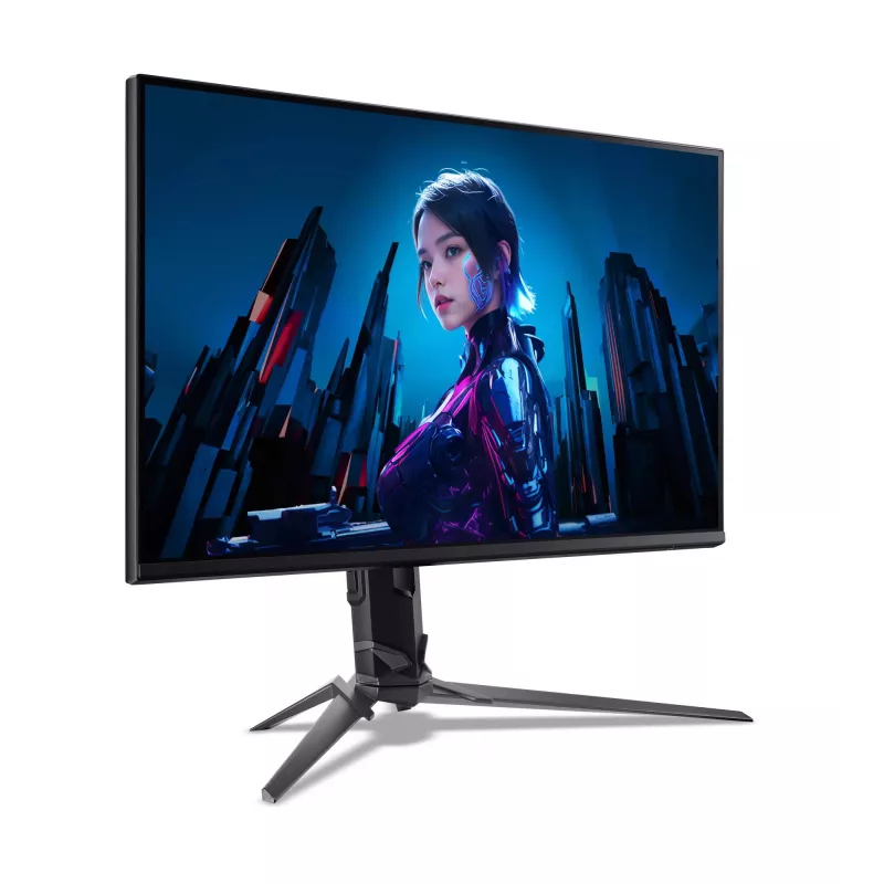 Computermonitor Acer Predator XB253Q F 24,5 Zoll (62,2 cm) FHD 1920×1080 LCD 1 ms Schwarz