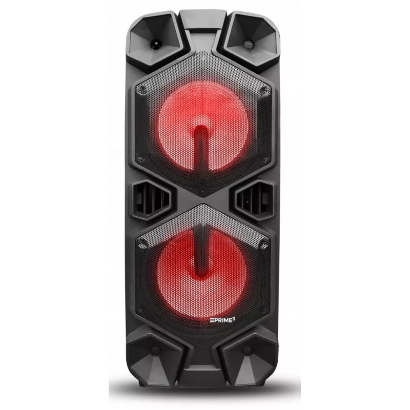 Tragbarer Lautsprecher APA24 Bluetooth Karaoke, Schwarz