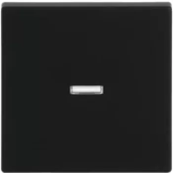 Busch-Jaeger Wippe schwarz matt 1789 N-885 (2CKA001751A3154)
