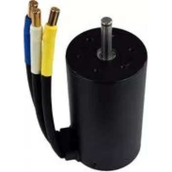 Amewi Brushless Motor MTX10 (012-HPGB3970A)