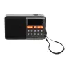Tragbares analoges AM/FM-Bluetooth-Radio BLOW RA18 mit FM-Tuner und Bluetooth-Konnektivität