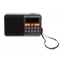 Tragbares analoges AM/FM-Bluetooth-Radio BLOW RA18 mit FM-Tuner und Bluetooth-Konnektivität