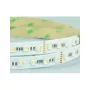 Synergy 21 LED Flex Strip 5050 - 84 RGB DC24V + RGB-WW (RGB-CCT) ein Chip HD IP20