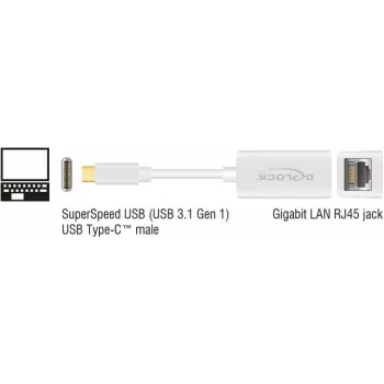 Laptop-Dock DeLOCK 65906 USB Type-C Weiß