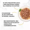 PURINA Gourmet Gold Succulent Delights Meeresfisch - Nassfutter für Katzen - 85g