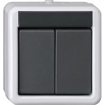 GIRA KNX Taster BA 2-fach Grau AP 2Punkt 516230 (516230)