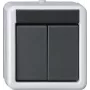 GIRA KNX Taster BA 2-fach Grau AP 2Punkt 516230 (516230)