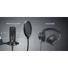 Studiomikrofon Easypix 62021 Schwarz