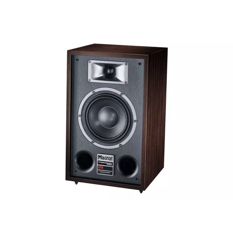 Standlautsprecher Magnat TRANSPULS 800A 2-Wege kabelgebunden & kabellos 2×60 W, Bluetooth 5.0, HDMI, Schwarz/Braun