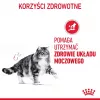 Nassfutter für Katzen Royal Canin Urinary Care ausgewachsene Erwachsene Geflügel 85 g Beutel (12er-Pack)