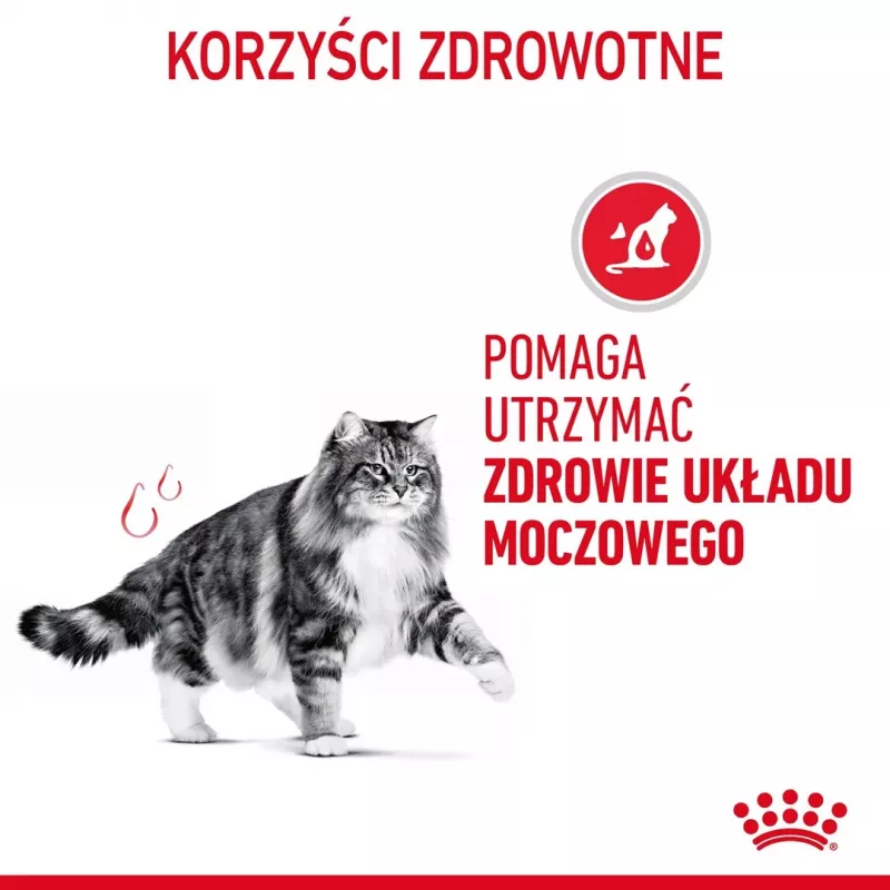 Nassfutter für Katzen Royal Canin Urinary Care ausgewachsene Erwachsene Geflügel 85 g Beutel (12er-Pack)