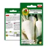 Samen – Pastinake (Pietruszka Korzeniowa Alba) 3 g Packung von Seklos LT