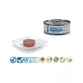 FARMINA Vet Life Hypoallergenic Pork & Potato - Nassfutter für Katzen - 85 g