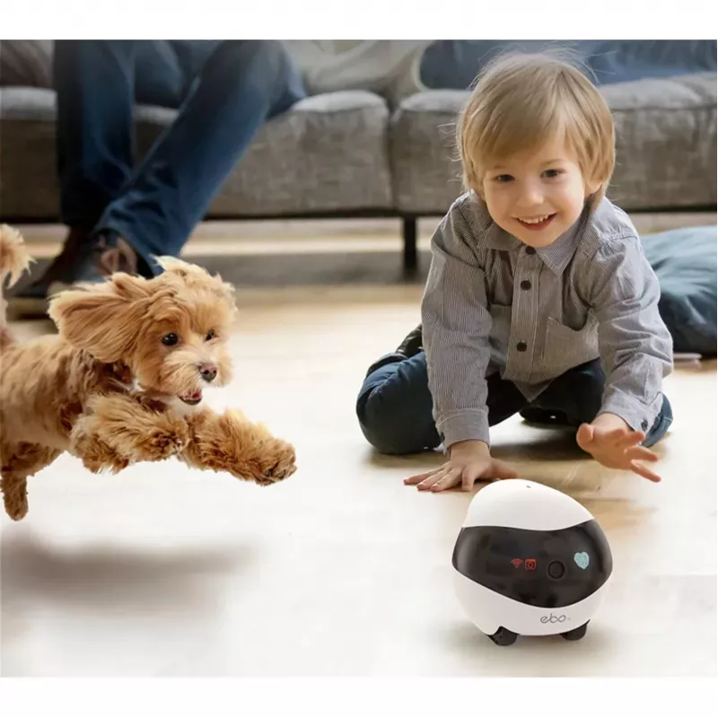 Enabot EBO SE Roboter-IP-Kamera Kompakt N/A MP N/A 16 GB externer Speicher, unterstützt max. 256 GB