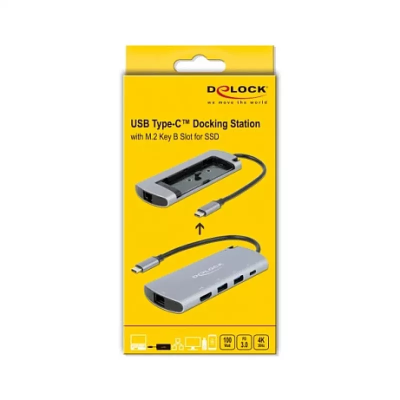 Dockingstation DeLOCK USB Type-C Dockingstation mit M.2-Steckplatz