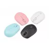 NATEC STORK Maus Home Beidhändig RF Wireless + USB Typ-A Optisch 1600 DPI