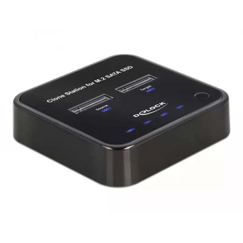 DeLOCK 64178 Dockingstation USB 3.2 Gen 2 Type-C SSD M.2