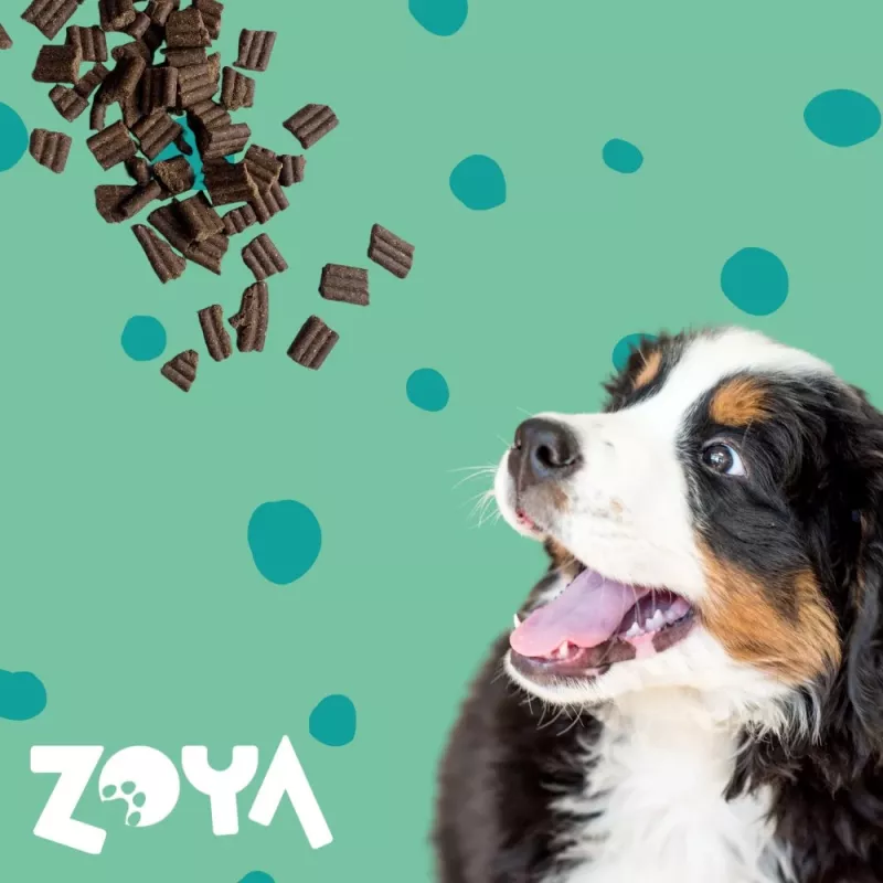 Trockenfutter für Hunde ZOYA ColdPRO Deer 9 kg — Erhaltung für ausgewachsene Hunde, Monoprotein Hirsch, 26% Protein, 9,5% Fett