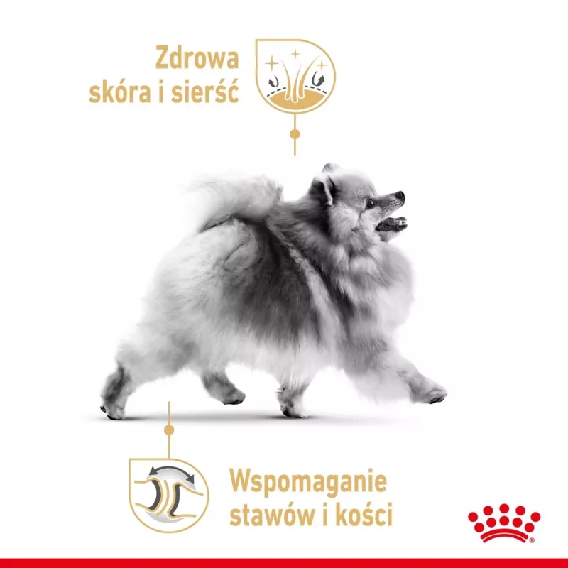 Trockenfutter Royal Canin Pomeranian Adult 3 kg – Formel für kleine Rassen für ausgewachsene Pomeranians