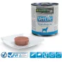 FARMINA Vet Life Canine Hypoallergenic Fish&Potato – Nassfutter für erwachsene Hunde 300 g