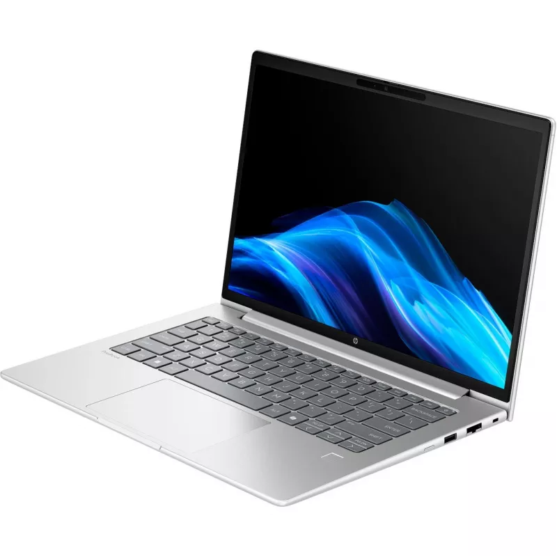 Probook 4 G1a (C07P4ES), Notebook Silber, AMD Ryzen 5 230, AMD Radeon 760M, 16 GB DDR5, 512 GB (512 GB SSD), Windows 11 Pro