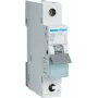 Hager MBS125. Bemessungsstrom: 25 A. Typ: B-Charakteristik, Modulanzahl (max.): 1 Modul(e). Breite: 17,5 mm, Tiefe: 70 mm, Höhe: 83,4 mm (MBS125)