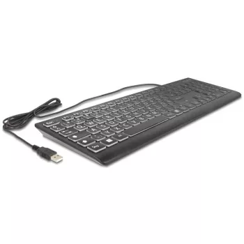 DeLOCK 12170 Tastatur Universal USB QWERTZ Deutsch Schwarz Mechanisch RGB