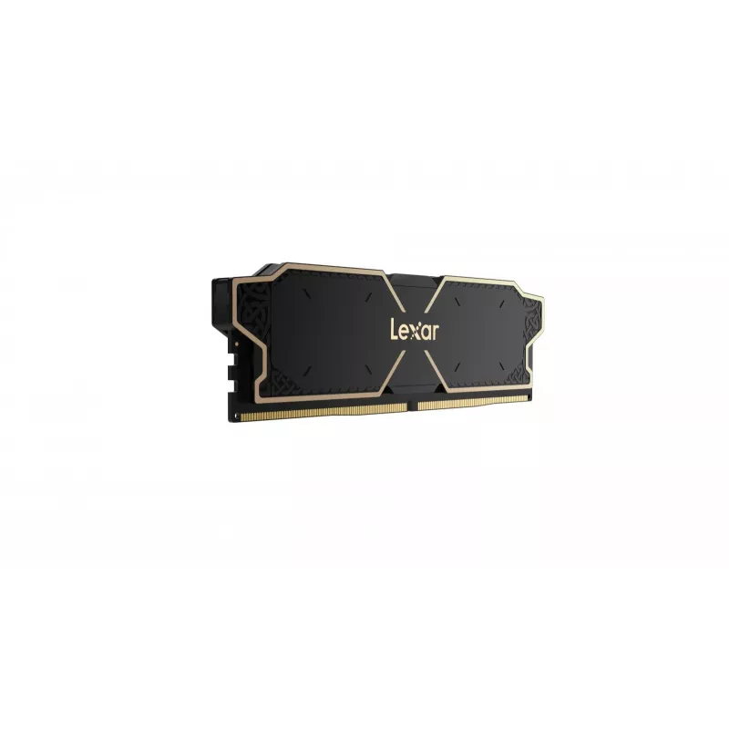 Lexar LD5U08G60C38LG-RGD Speichermodul
