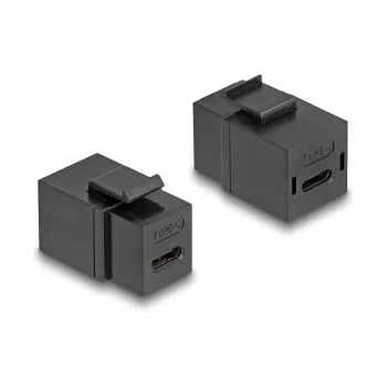 DeLOCK Keystone-Modul USB 2.0 Typ-C Buchse auf Buchse schwarz