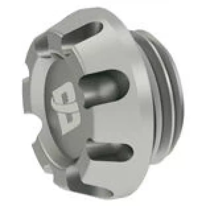 Barrow Kepler Stopfen G1/4 Zoll THODT-V1 - WS Silber — Anschlussstopfen, G1/4 Zoll Gewinde, silberne Oberfläche