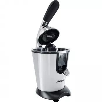 Steba ZP 2, Schwarz, Edelstahl, 160 W, 230 V, 180 mm, 255 mm