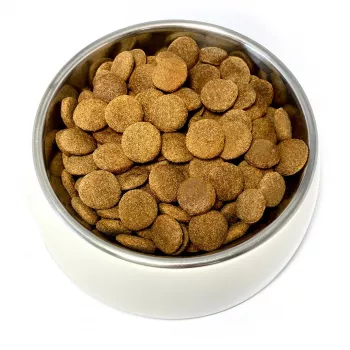 TEO reich an Geflügel - Trockenfutter für Hunde - 9kg