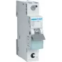 Hager MBS106. Bemessungsstrom: 6 A, Netzfrequenz: 50/60 Hz. Typ: B-Typ, Modulanzahl (max.): 1 Modul(e). Breite: 17,5 mm, Tiefe: 70 mm, Höhe: 83,4 mm (MBS106)
