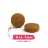 BOSCH Sanabelle Adult Chicken & Blueberries - Trockenfutter für Katzen - 2 kg