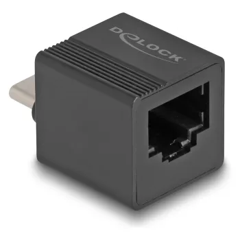 DeLOCK USB Type-C Adapter zu Gigabit LAN mini Schwarz