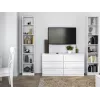 top e shop W40 PAFOS BIA Vitrine — weiße Spanplatte, 290×400×2000 mm