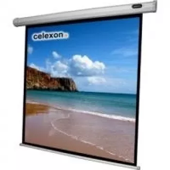 CELEXON Screen Motor Economy 240x240 cm inkl. Steuerbox und IR-Fernbedienung schwarzer Rand und Rückseite Gain 1.2 (1090068)