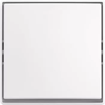 BUSCH JAEGER Wippschalter AP 2601/6 J-524 (2TKA00005521)