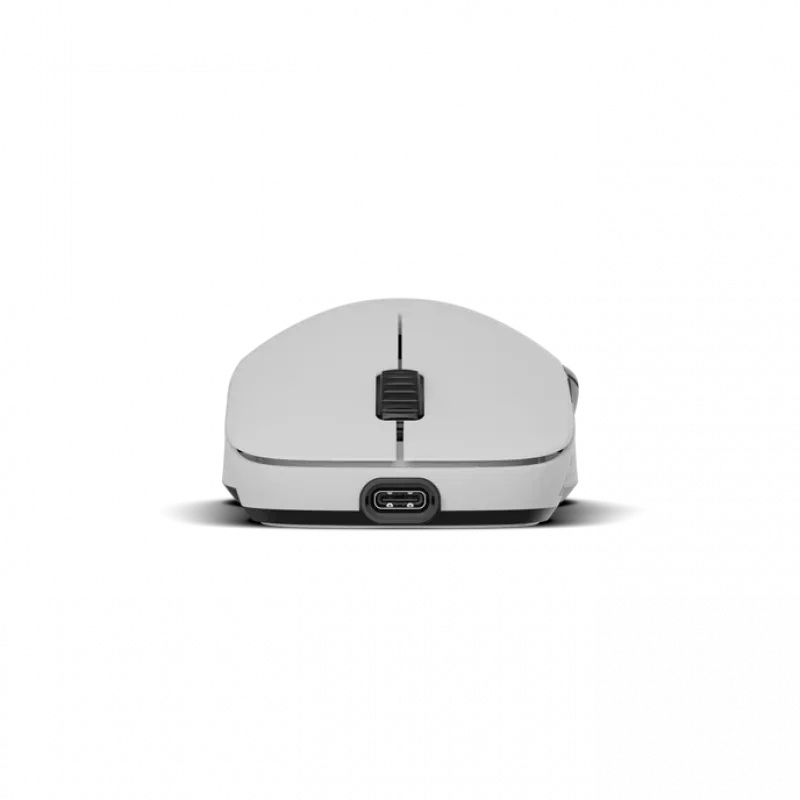 Maus Endgame Gear XM2w 4k Wireless