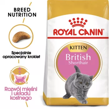 Trockenfutter für Katzen Royal Canin British Shorthair Kitten 2 kg – Huhn, 38% Protein, 20% Fett, Wachstumsformel