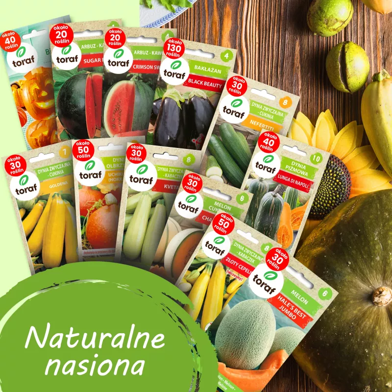 Toraf Flavor Symphony Samen-Set - 12 Packungen
