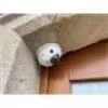 IP-Überwachungskamera Hikvision DS-2CD2543G2-IS(2.8MM) Dome