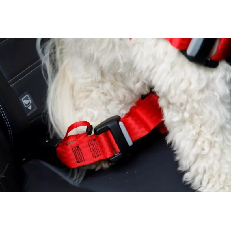 Hundegeschirr ZOLUX TRAVEL SAFE M, Größe M, rot