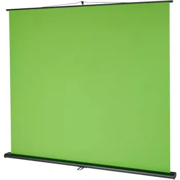 Celexon 1000010980 Hintergrundbildschirm Green (1000010980)