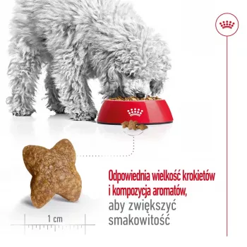 Trockenfutter für Hunde Royal Canin Adult Mini S 8 kg — Komplettnahrung für kleine ausgewachsene Hunde