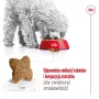 Trockenfutter für Hunde Royal Canin Adult Mini S 8 kg — Komplettnahrung für kleine ausgewachsene Hunde