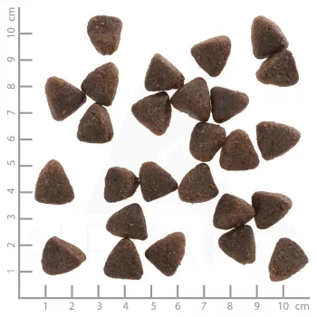 Trockenes Hundefutter Wolfsblut Jack Rabbit 12,5 kg — getreidefrei, Kaninchengeschmack, 28 % Protein, 19 % Fett